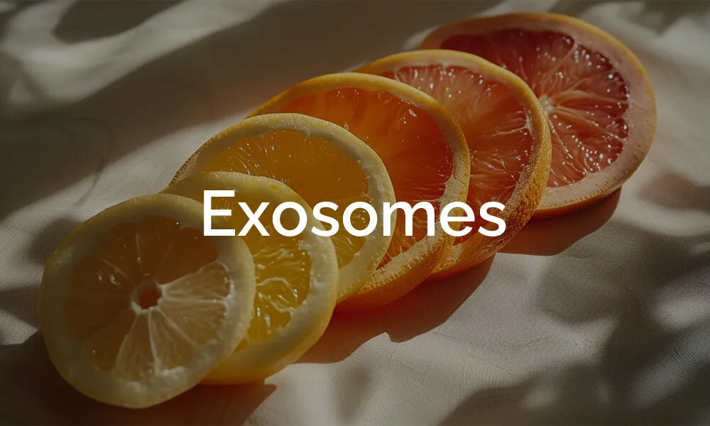 2024年和2025年护肤趋势 - 外泌体