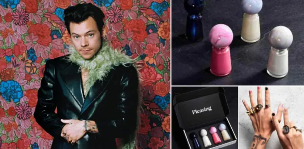 哈里·斯泰尔斯的 Pleasing