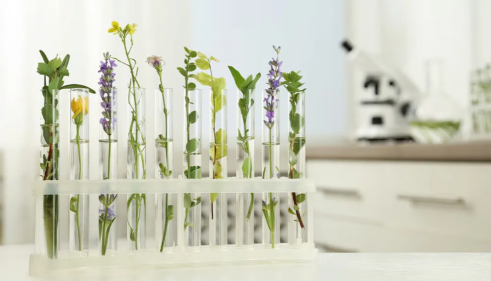 药妆护肤品的类型