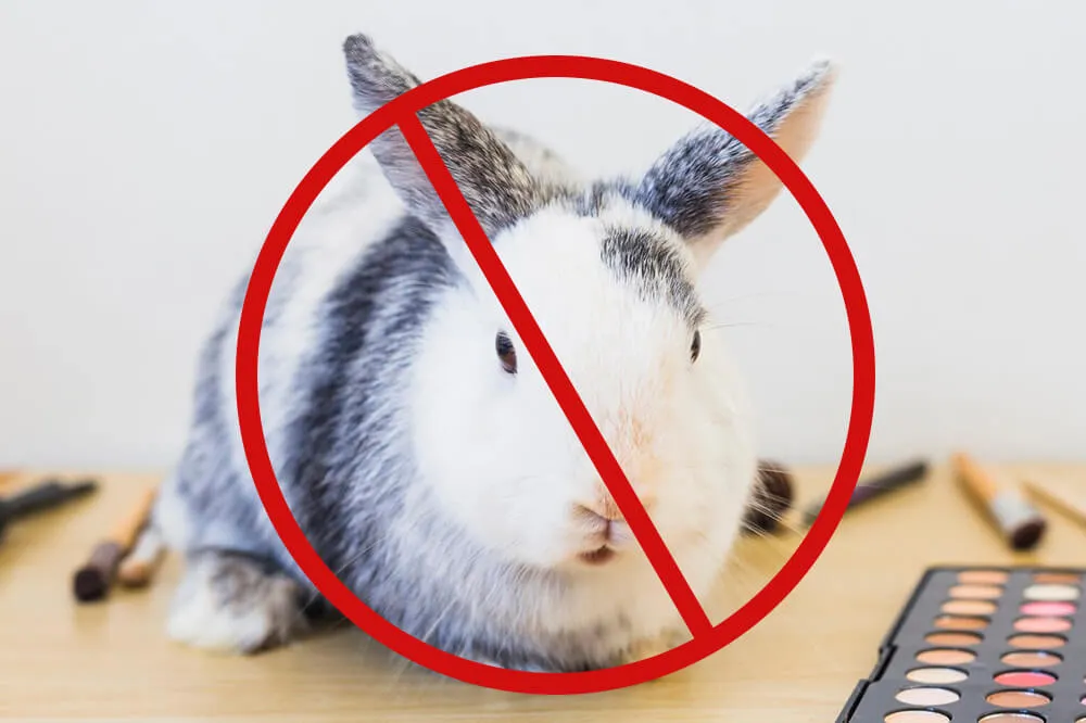 零残忍自有品牌化妆品