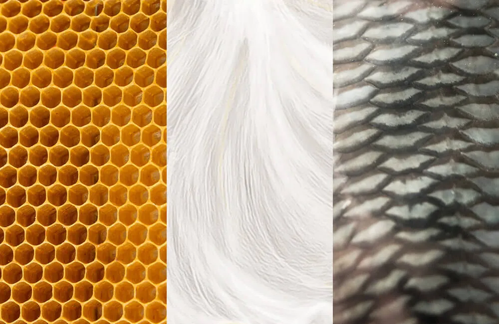 非纯素自有品牌化妆品