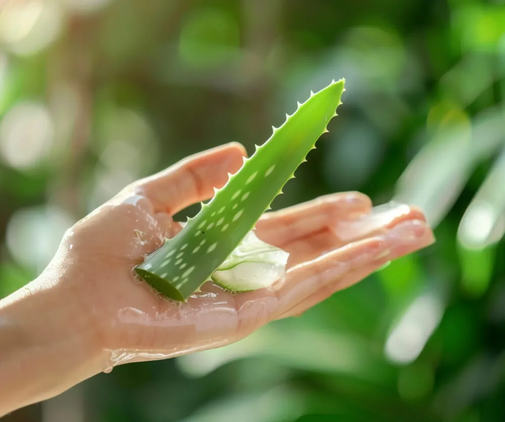 滋养和软化皮肤