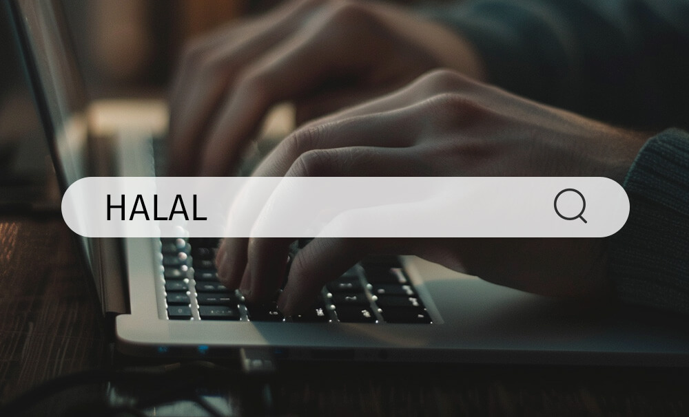 研究和咨询资源