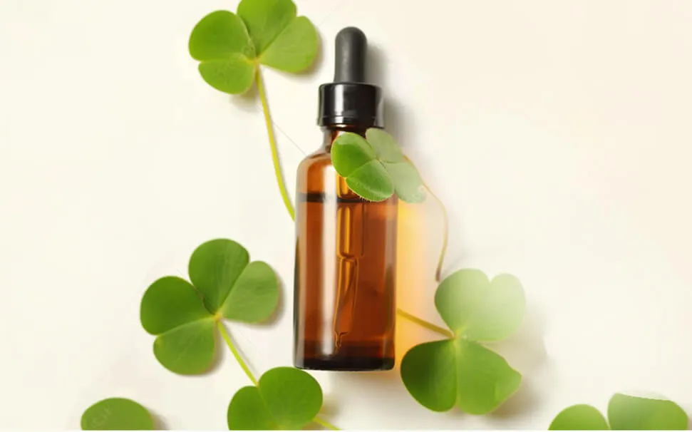 可持续与升级再造成分