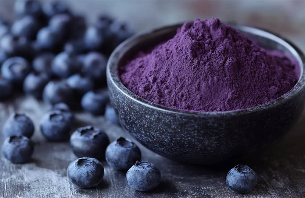 蓝莓果实提取物