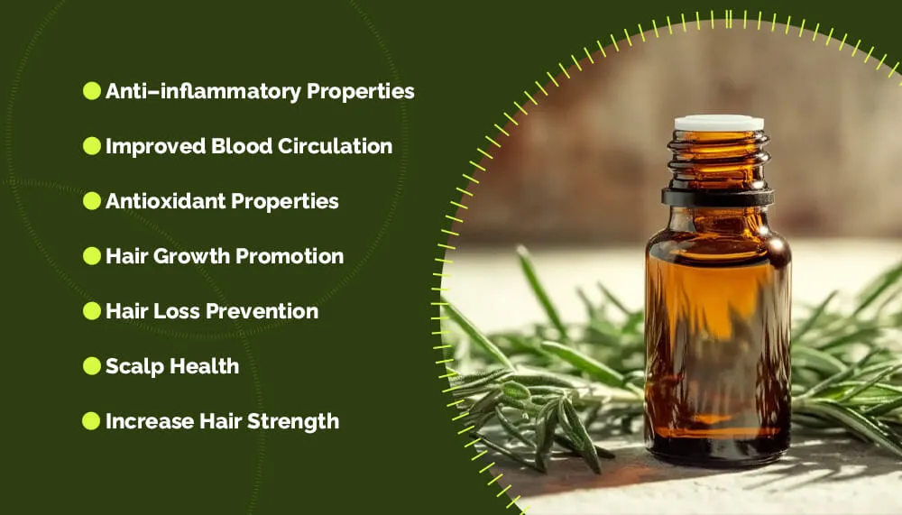 迷迭香油对头发的好处