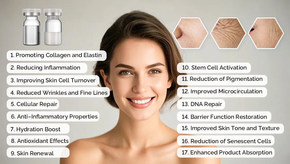 用于抗衰老的外泌体