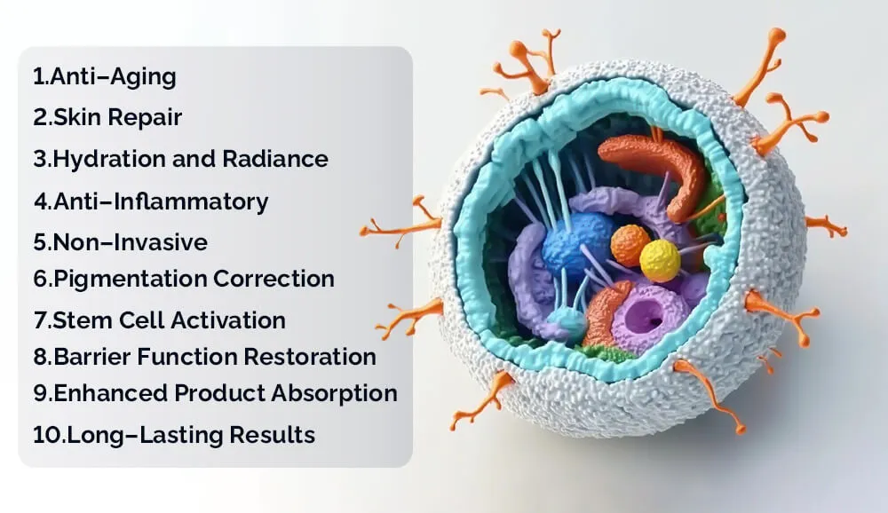 外泌体疗法对皮肤的益处