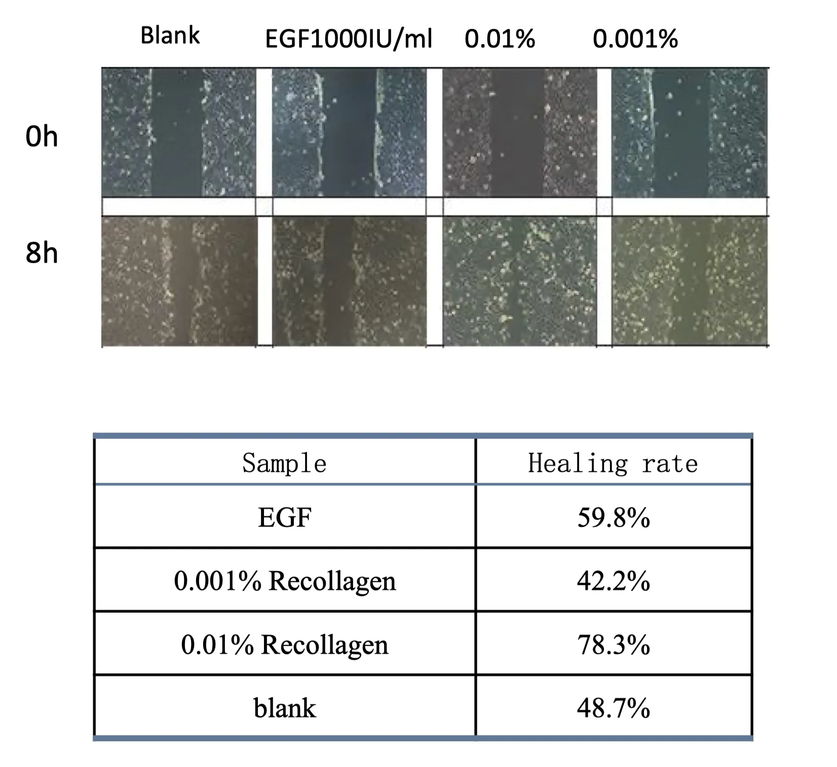 Repair ability assessment-cell scratch test