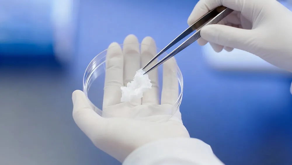 与重组胶原蛋白护肤制造商合作