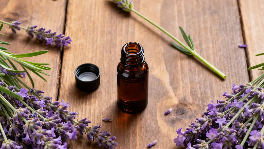 感官健康与气味学